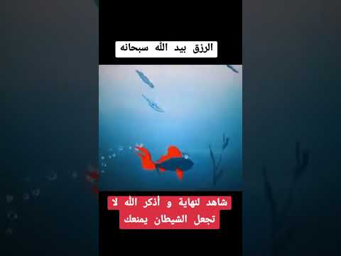 الرزق بيد الله سبحانه وتعالى 