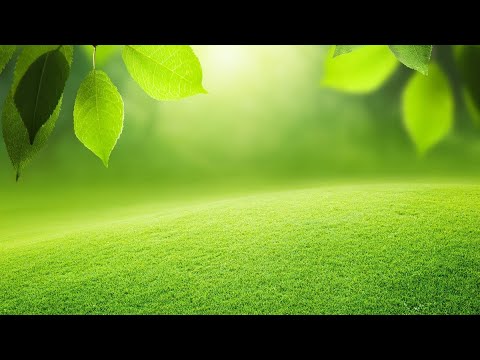 А.В.Клюев - История Христианства. Беседа 8/9