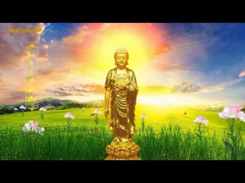 Video TỤNG KINH VÔ LƯỢNG THỌ GIỌNG NỮ RẤT HAY - youtube
