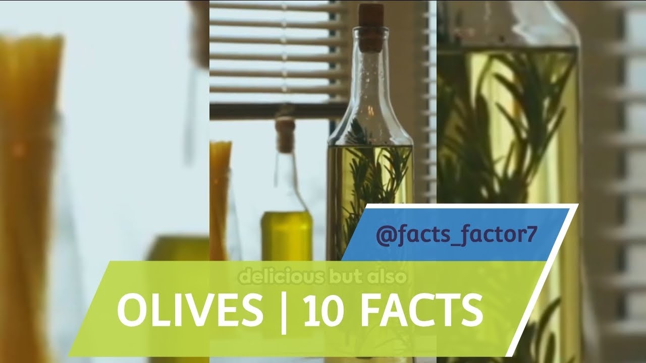 Olives 10 Fascinating Facts 