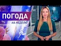 Погода на неделю с 6 по 12 сентября 2021. Прогноз погоды. Беларусь | Метеогид