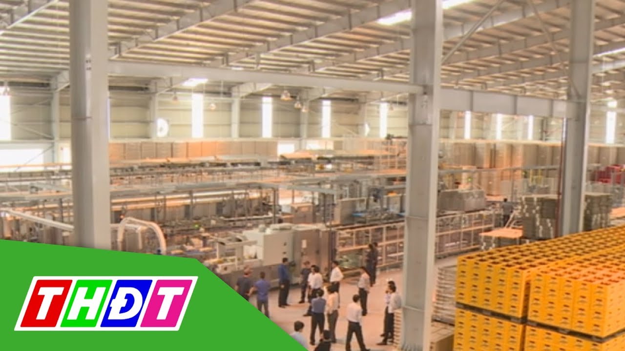 Công ty Bia Sài Gòn - Đồng Tháp ra mắt mẻ bia đầu tiên... - youtube