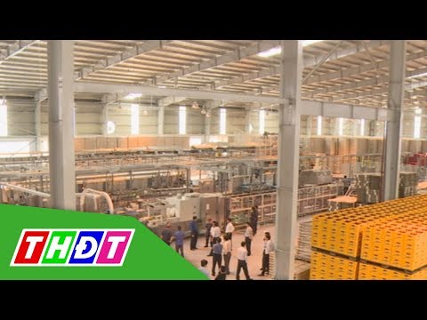Video Công ty Bia Sài Gòn - Đồng Tháp ra mắt mẻ bia đầu tiên... - youtube