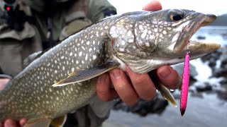 【幻】アジアで釣れるのはここだけ！幻の魚レイクトラウト採捕までの軌跡