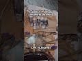 @alquimia_gentile . Link https://www.instagram.com/alquimia_gentile?igsh=MWhqNjJpaDdyMjB6Zg==
