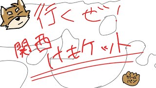 関西けもケット、ぼっちマ？【雑談】