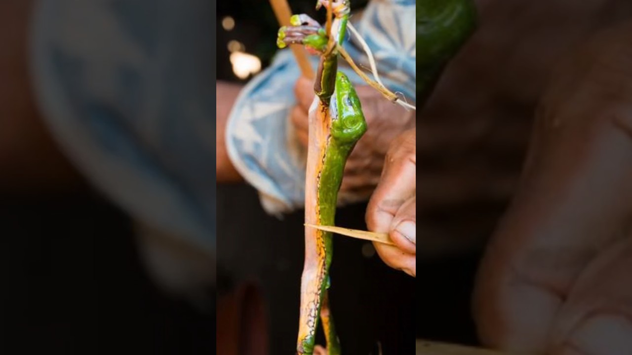 Sami sobie to robią 