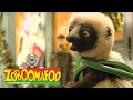 Zoboomafoo 122 - Pets (Full Episode)