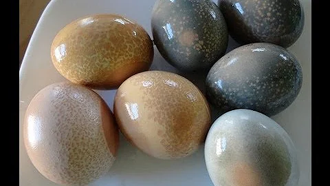 Naturally dyed Easter eggs
