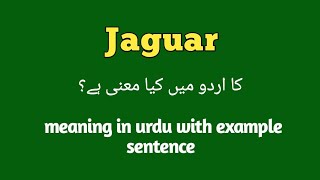 Jaguar meaning in urdu/hindi |How to pronounce Jaguar |Jaguar in sentence |Jaguar k kia mtlb h