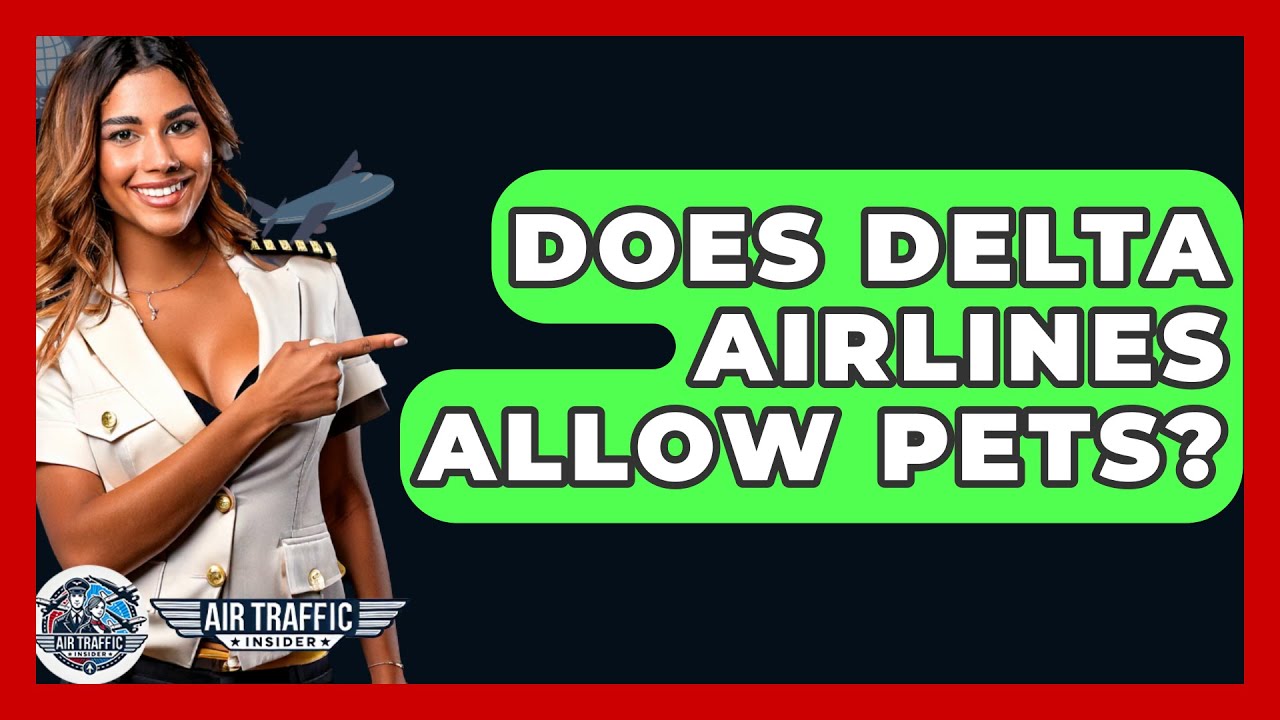 Does Delta Airlines Allow Pets? - Air Traffic Insider