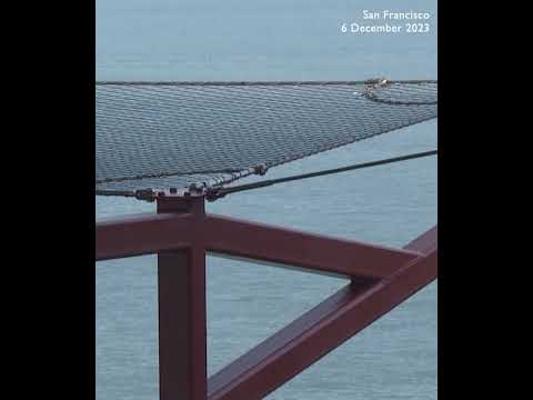 Golden Gate Bridge suicide prevention net finally complete