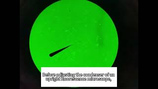 How to resolve excessive background in fluorescent staining