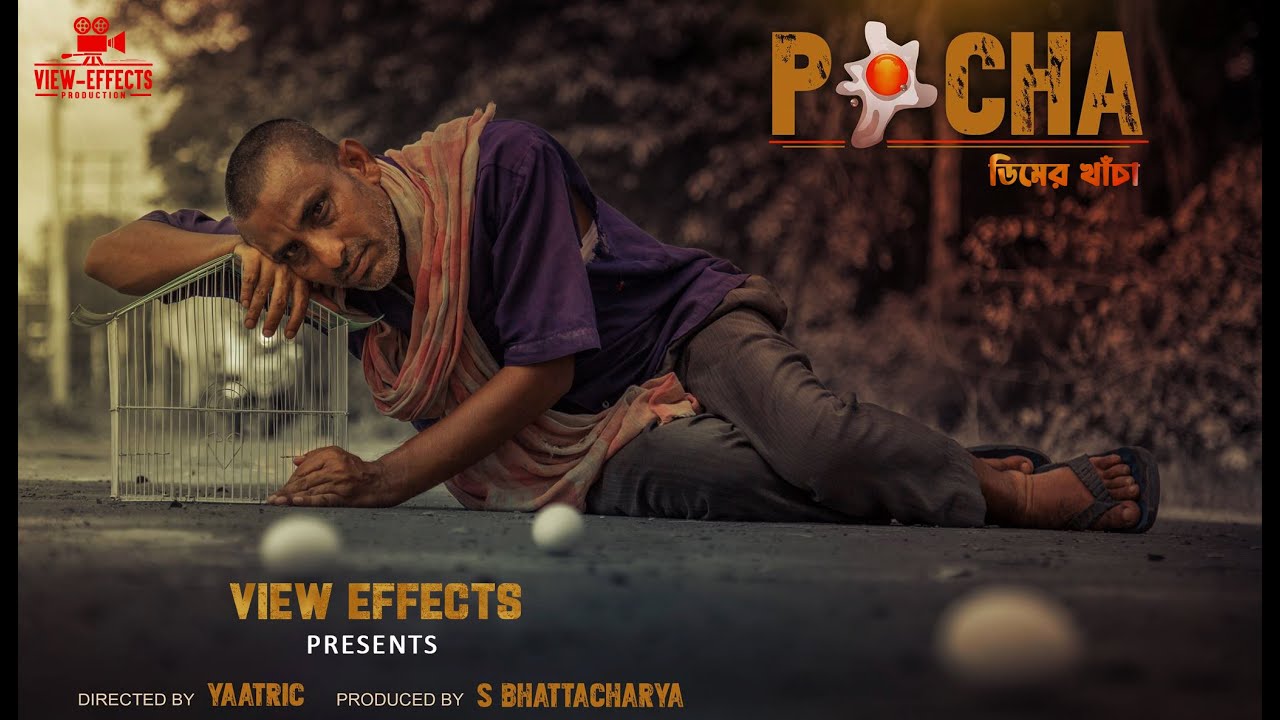POCHA (2025) | Official Bengali Short Film | View Effects Production