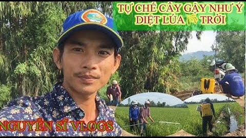 Tự Chế Cây Gậy Như ý-Diệt Lúa Trời  🌾