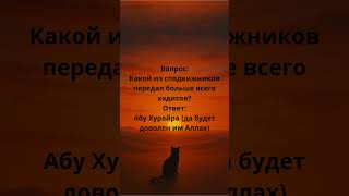 27 октября 2025 г.