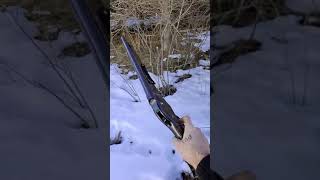 Winchester 1987 12 G 😲😲😲😲