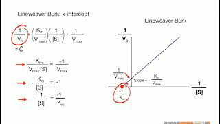 ُ Enzyme Kinetics حركية الإنزيمات3