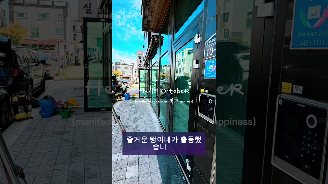 명지 밤마실 식당 유리 대청소! 유리창 얼룩부터 창틀 먼지와 거미줄까지 싹~ 반짝반짝✨ 깨끗한 매장 완성! ☎010-5719-4363 #명지유리청소 #식당청소 #즐거운탱이네