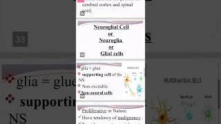 #study #zoologyshorts #nervoussystem #shortvideo #viralvideo