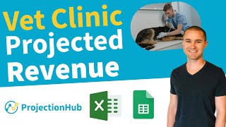 Estimating HOW MUCH Revenue your Vet Clinic can Generate!