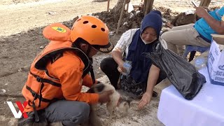 Tim Penyelamat Menyelamatkan Kucing \