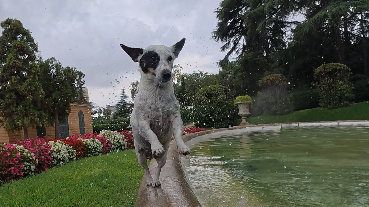 In the enchanted garden there is living water