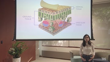Tanisha Bassan - Bioprinting Plant Tissue To Solve World Hunger