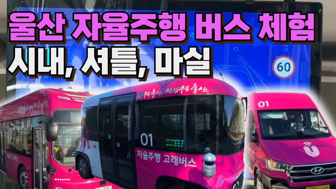 자율주행고래버스 체험기