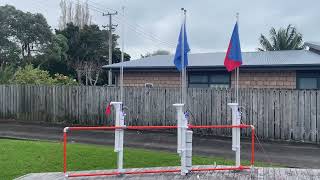 Automatic Flags Demo