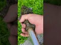 easy lawn mower replacement with an L key#shortvideo