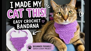 I Made My Cat This 🐱💜 Easy Crochet Bandana (Beginner Friendly!)