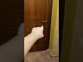 mai camminare da solo in casa o questo mostro ti porta via…? #shorts #horror #paura #roblox #ps5