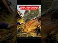 "Why Did a Wave of Molasses Kill 21 People in America |