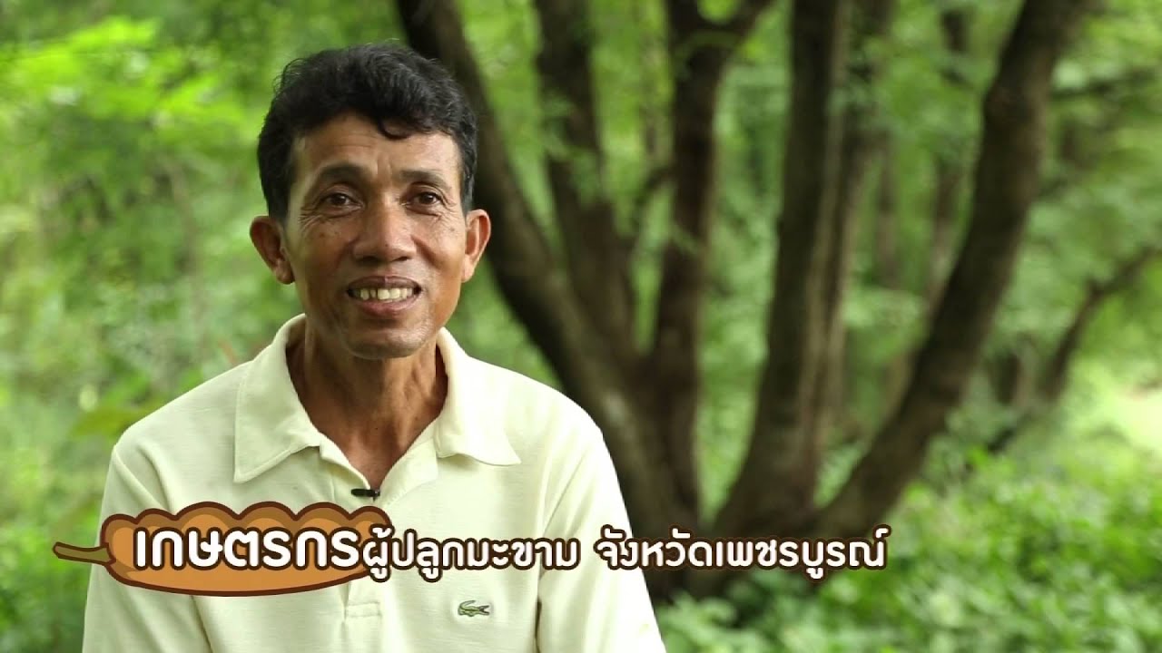 เกษตรติดแบรนด์ : 