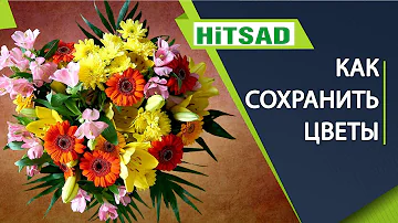 Как сохранить подаренные цветы на долго 🌸