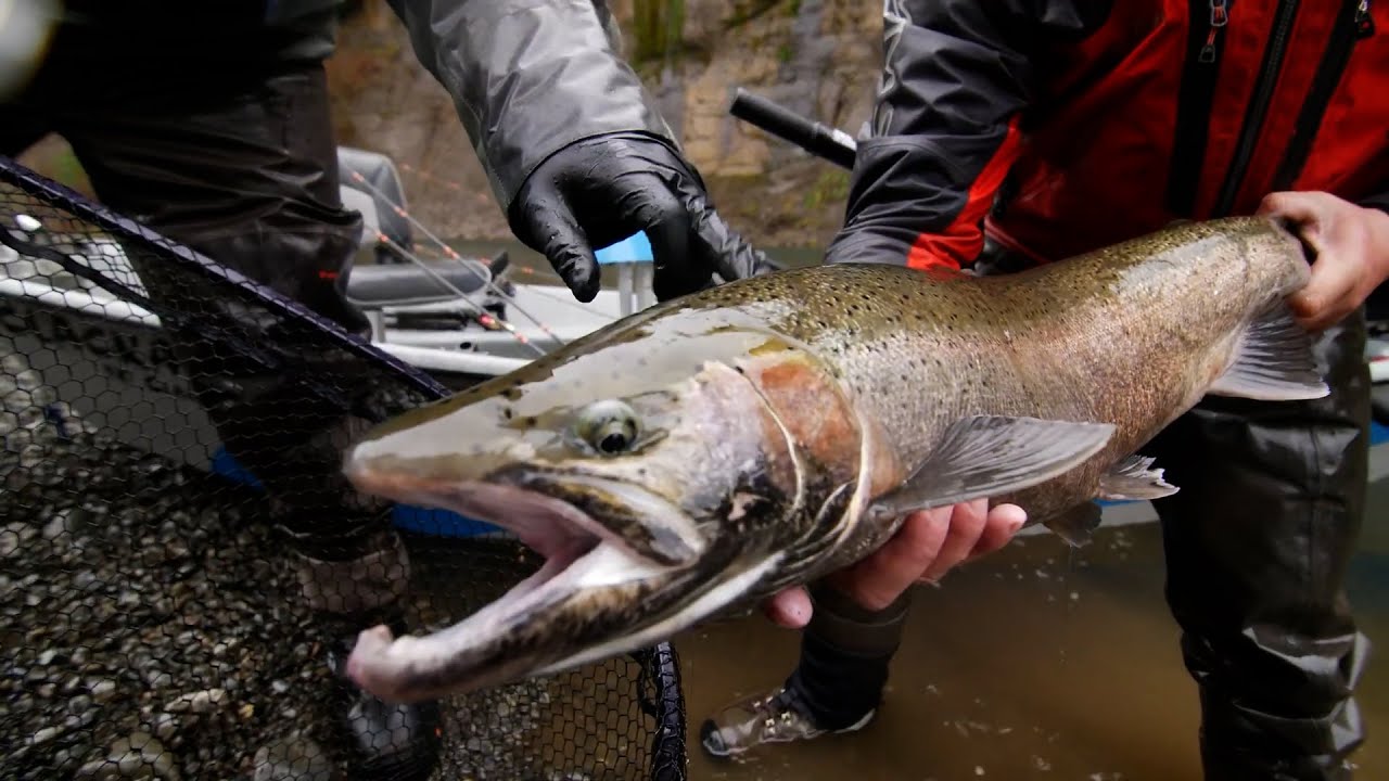 Backtrolling MagLips: The New Wave in Catching Huge Fish | Day One Outdoors