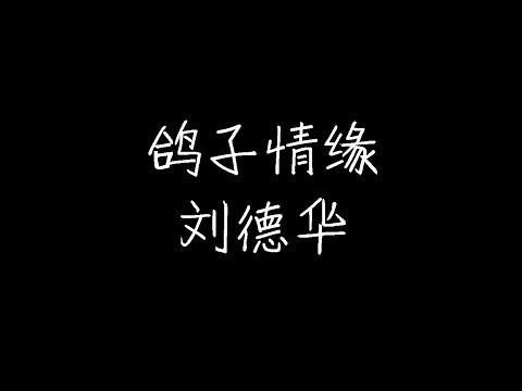 刘德华 - 鸽子情缘 (动态歌词)