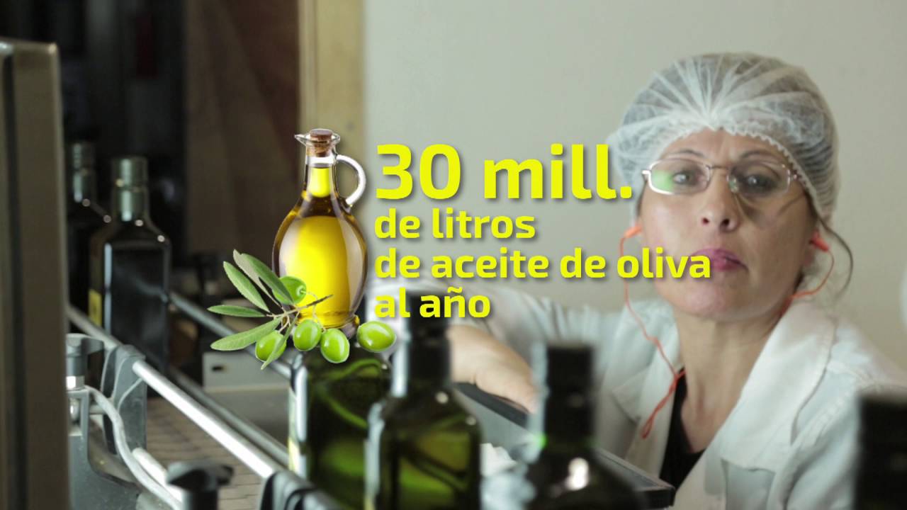 REPORTAJES 24 TVN - ACEITE DE OLIVA