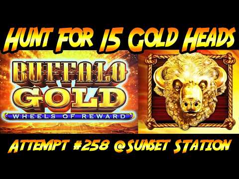 Hunt For 15 Gold Heads! Ep. #258, Back to Buffalo Gold Wheels of Reward at Sunset Station casino!
