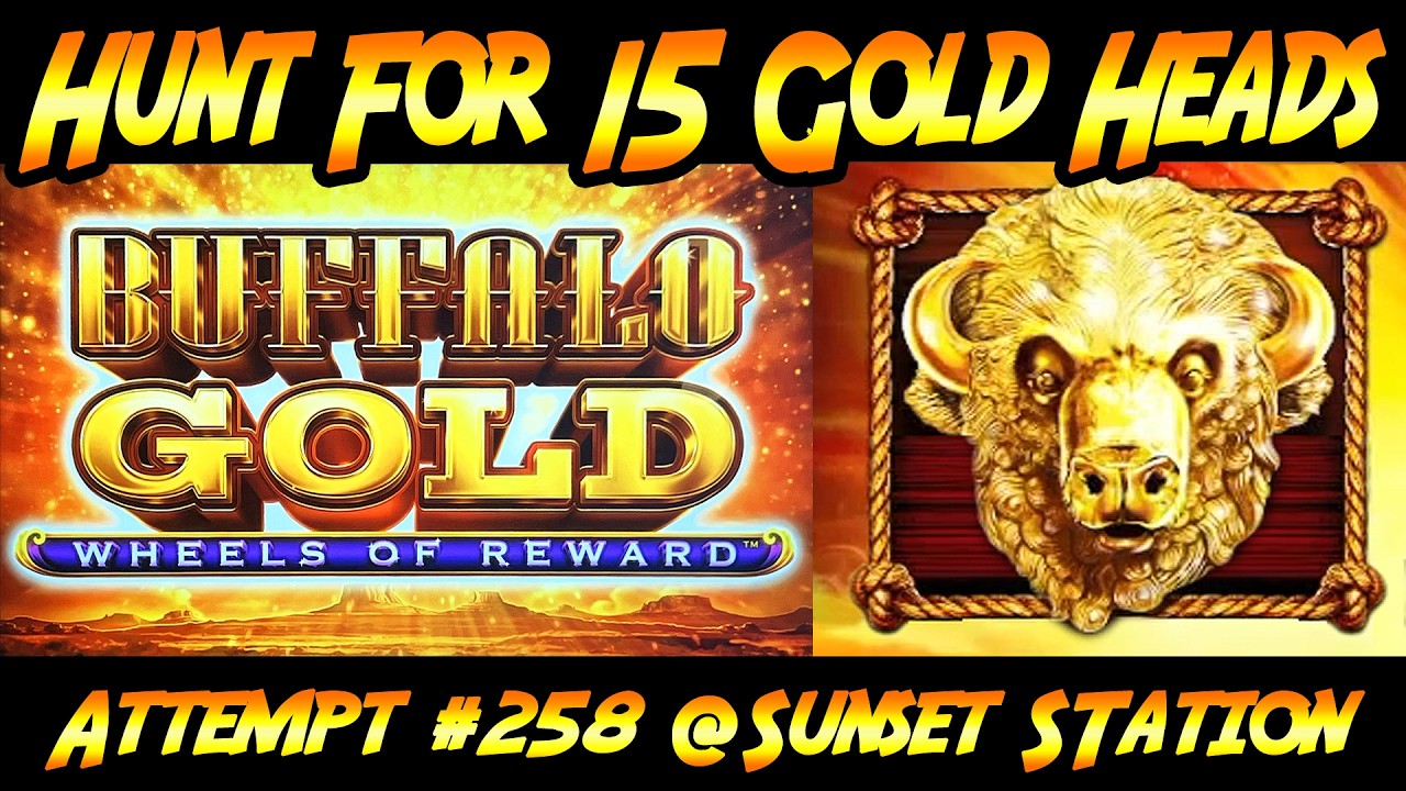 Hunt For 15 Gold Heads! Ep. #258, Back to Buffalo Gold Wheels of Reward at Sunset Station casino!