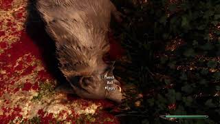 Proper Gameplay of heavily modded Skyrim over 300+ mods. (Not just a showcase)