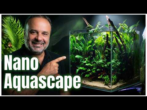 FULL NANO AQUASCAPE BUILD - Plants, Sand & Fish From Start To Finish