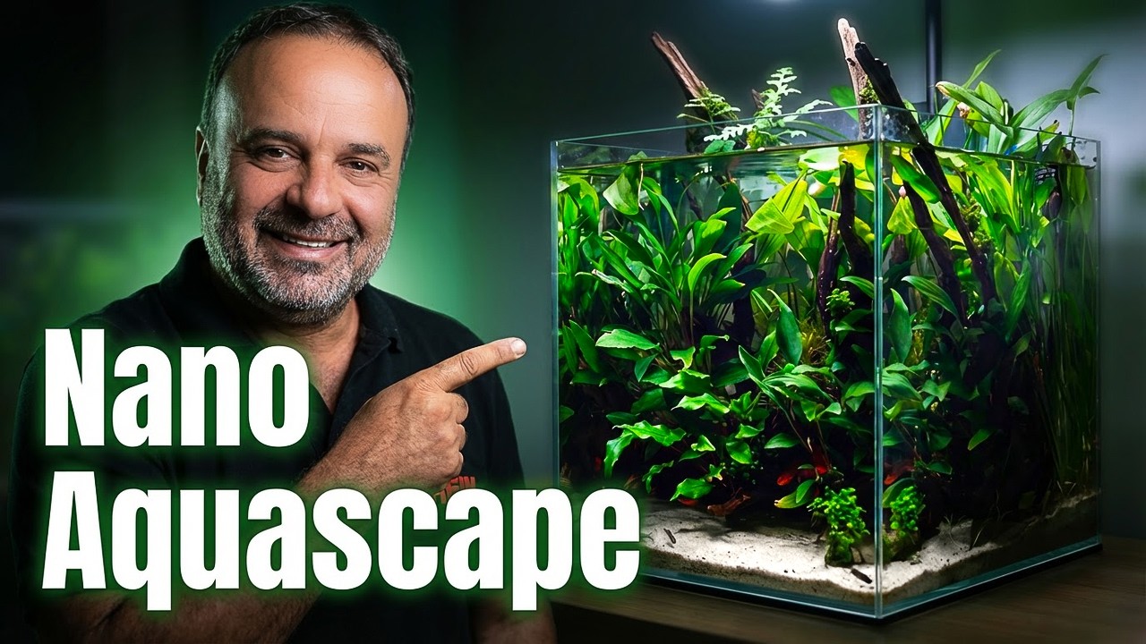 Создание нано-акваскейпа от начала до конца.Растения, песок и рыба