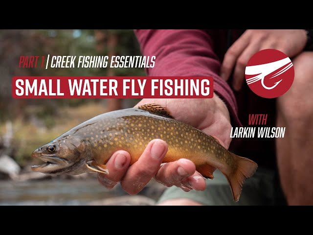 Creek Trout Fishing Essentials  SMALL WATER FLY FISHING 