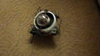 4 motor BEAM walker made from trash