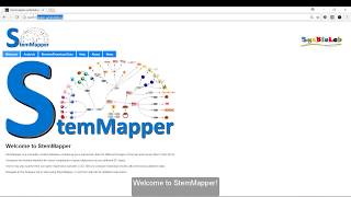 StemMapper