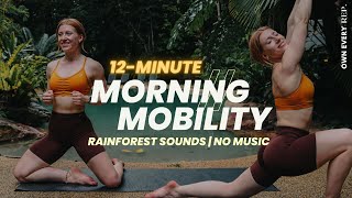 12 Min. Morning Mobility | Rainforest Sounds | Slow Full Body | Beginner-Friendly | Follow Along