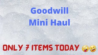 Mini Goodwill Thrift Haul