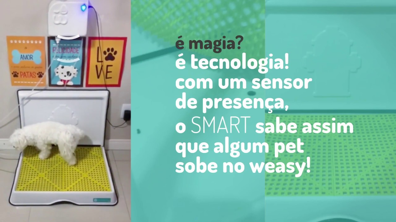 Weasy smart Clearance